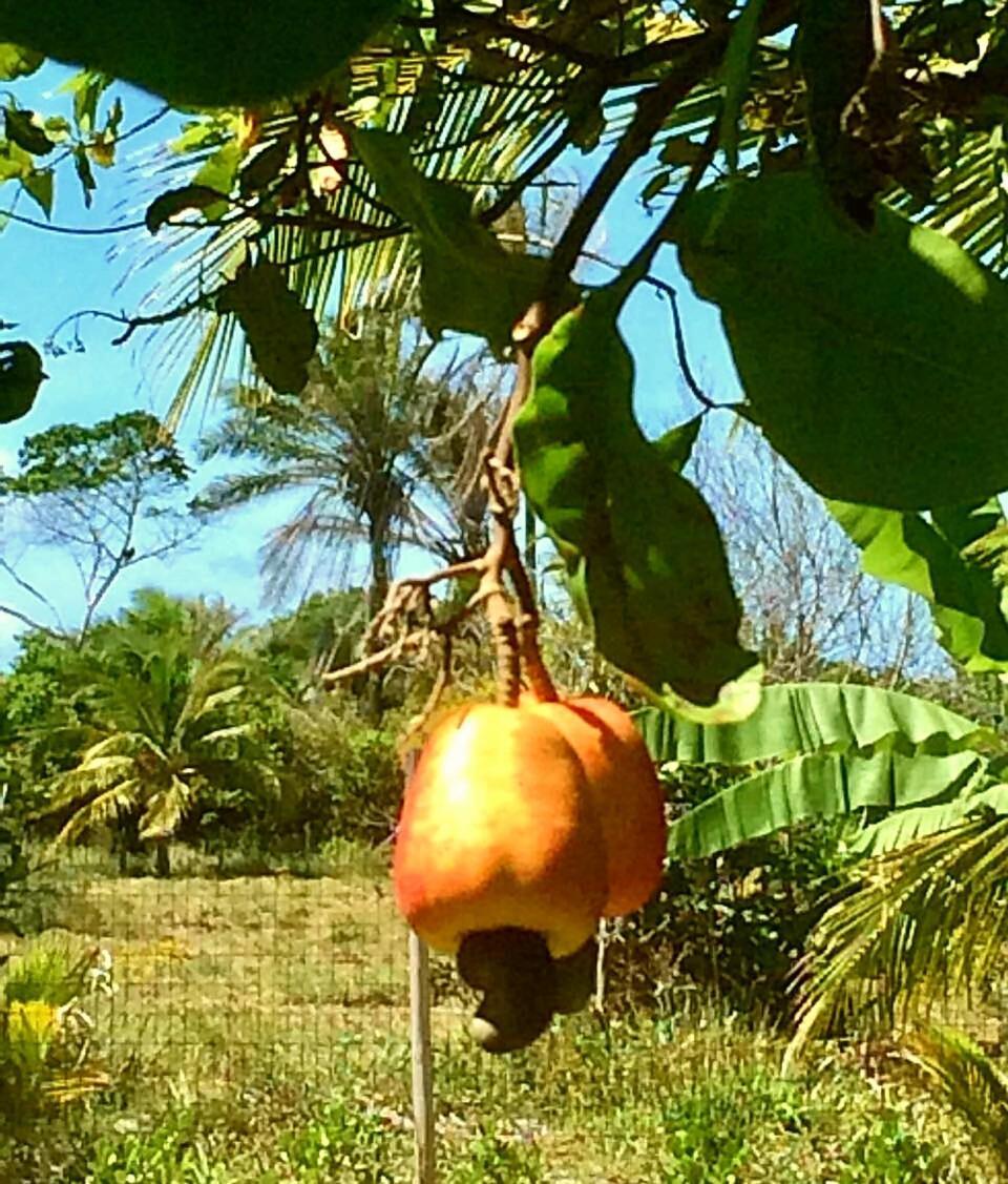 Casa Ohana Barra Grande  Esterno foto
